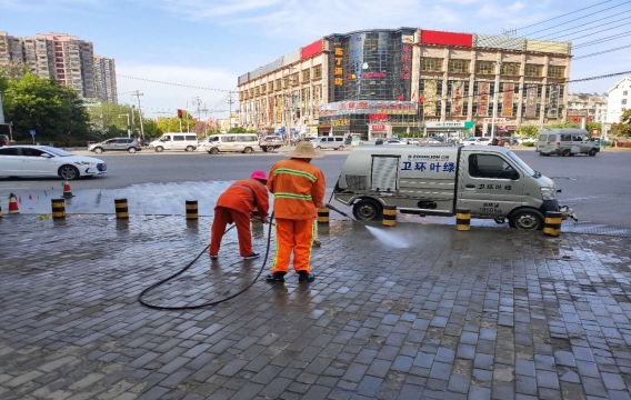 新站區(qū)道路清掃保潔、綠化管養(yǎng)項目
